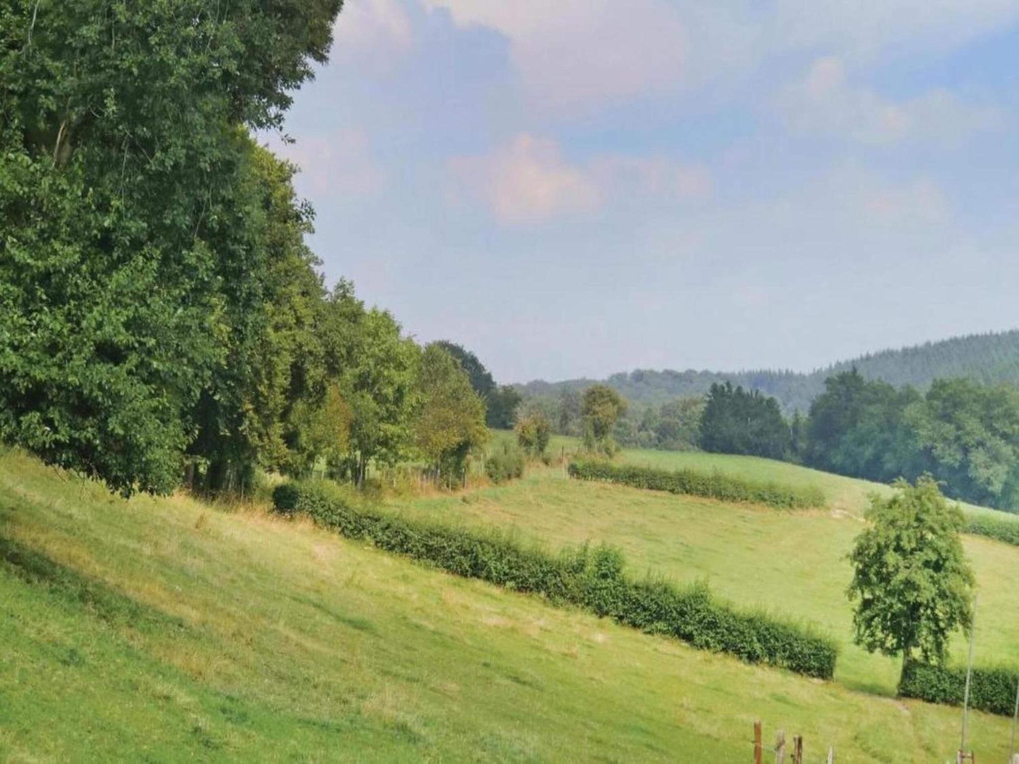 Cottage With A Terrace And A View Of The Valley Aywaille Exteriör bild